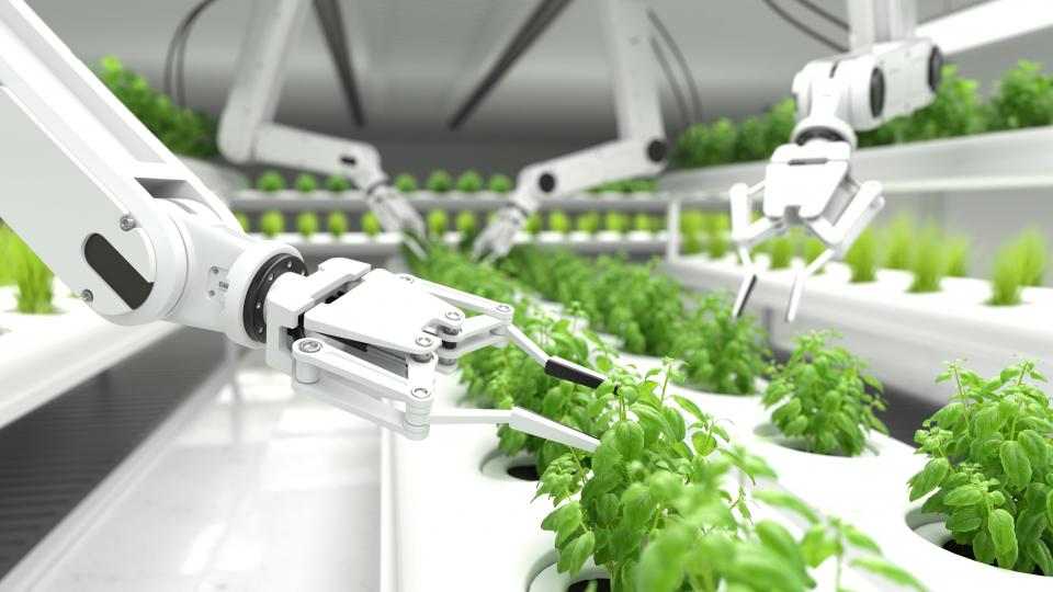 Roboter pflegen Pflanzen
