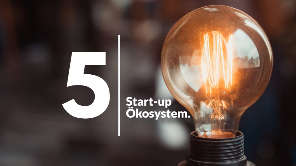 Symbolbild Start-up Ökosystem