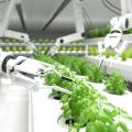 Roboter pflegen Pflanzen